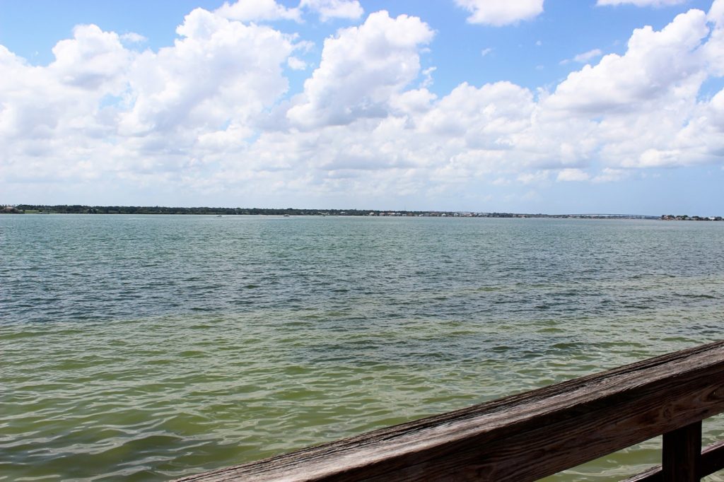 Recipe: The Columbia’s 1905 Salad